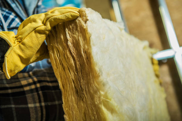 Best Insulation Maintenance and Repair in Weiser, ID